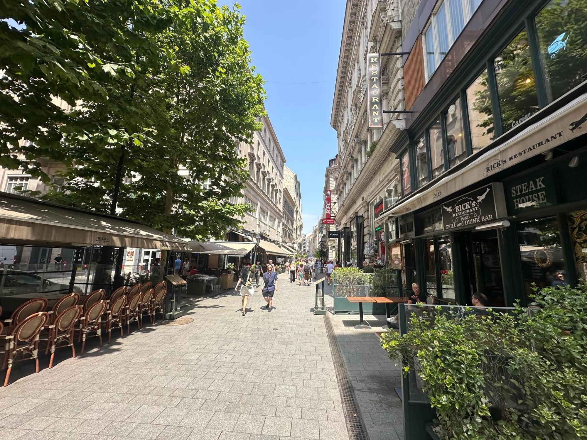 Bright Apartment In The Most Beautiful Street Of Budapest Vaci Street, Fashion Street Будапеща Екстериор снимка